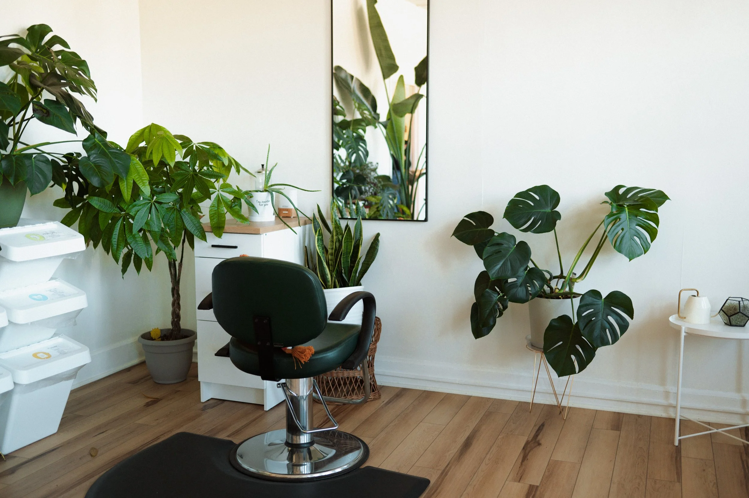 Reform Salon in Westminster, MD (4)