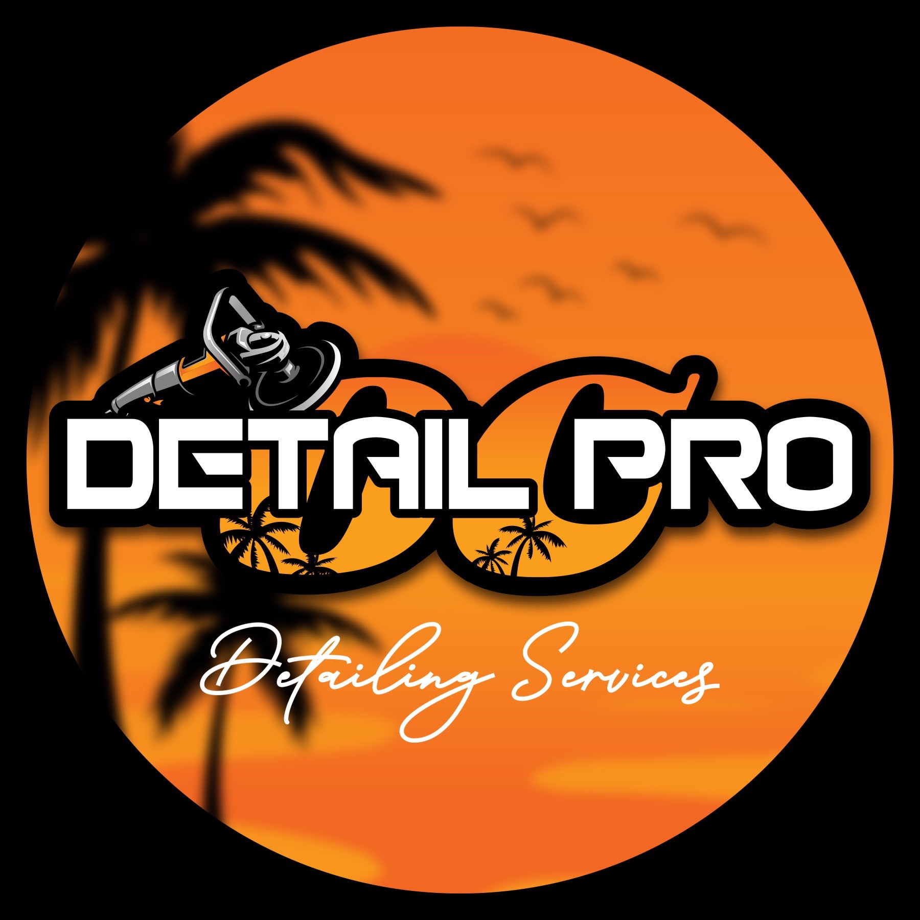 Detailpro in Ladera Ranch, CA