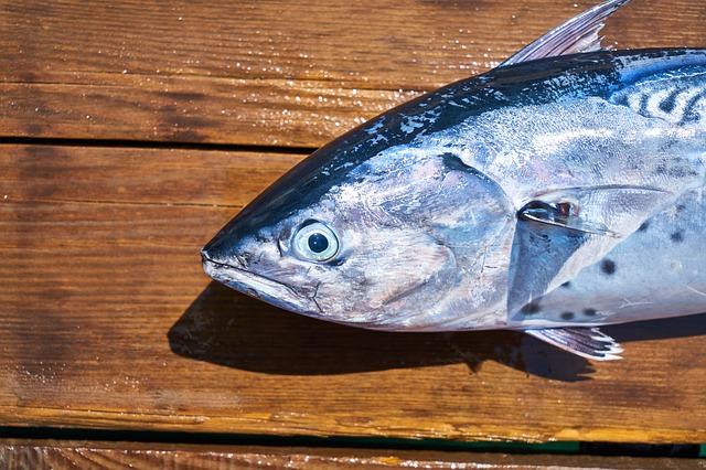 NDMK Fish House in Avalon, CA