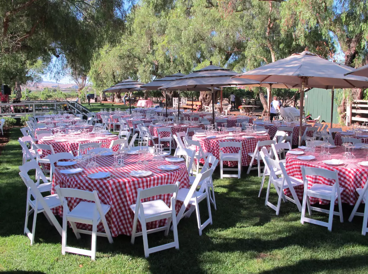 Retzlaff Vineyards in Livermore, CA (4)