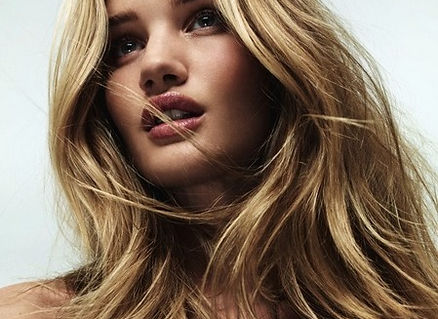 Olive Hill Salon in Woodside, CA