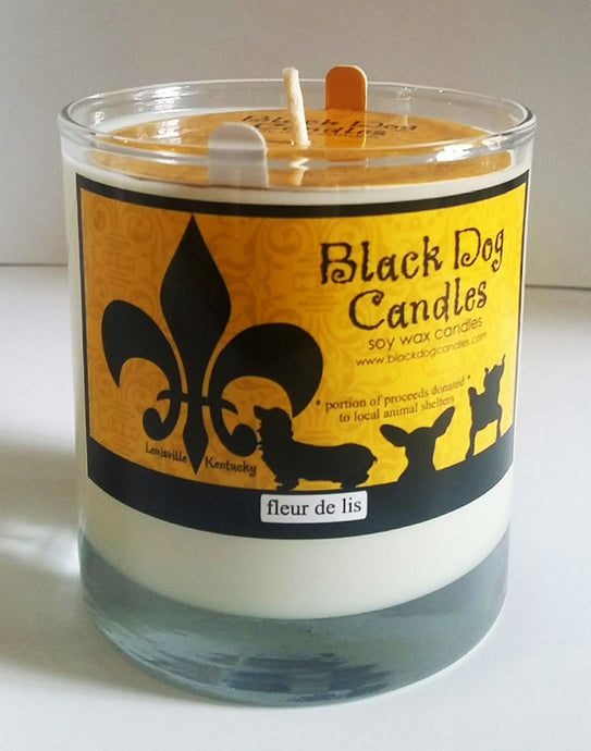 Black Dog Candles (Workshop location. Not open to public) in Louisville, KY (4)