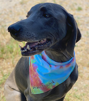 Bravefriend Apparel & Design in Aiken, SC (6)
