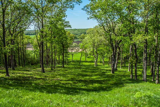Lake Geneva Area Realty in Lake Geneva, WI
