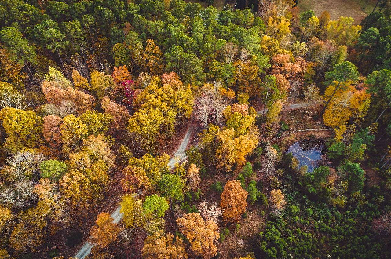 Foothill Homes and Land LLC in Pilot Mountain, NC (5)
