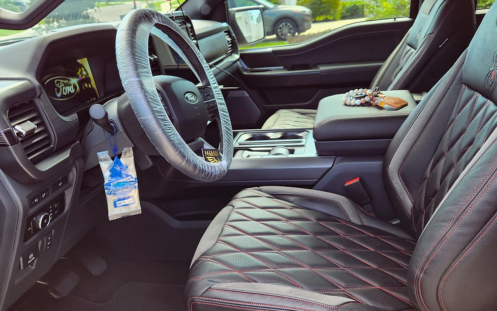 Pegasus Mobile Detailing in Tampa, FL (2)