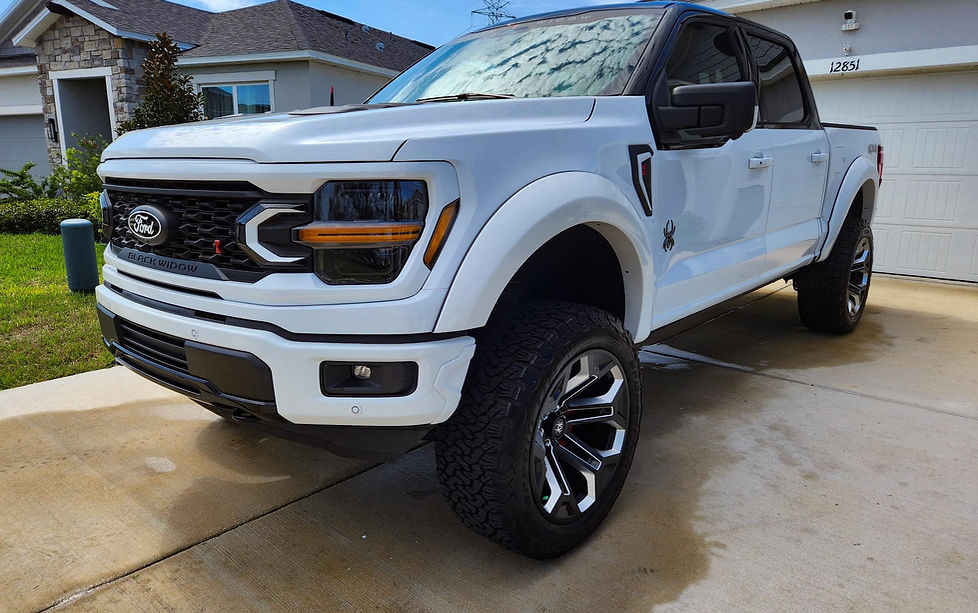 Pegasus Mobile Detailing in Tampa, FL (3)