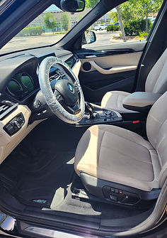 Pegasus Mobile Detailing in Tampa, FL (6)