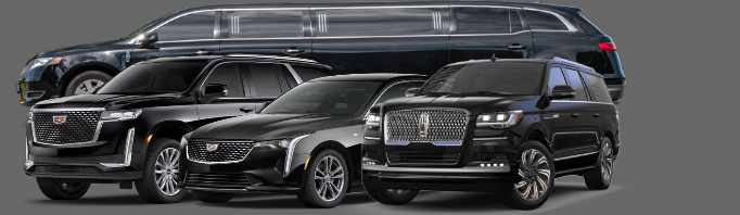 Alpha Black Car Services Inc in Elk Grove Village, IL