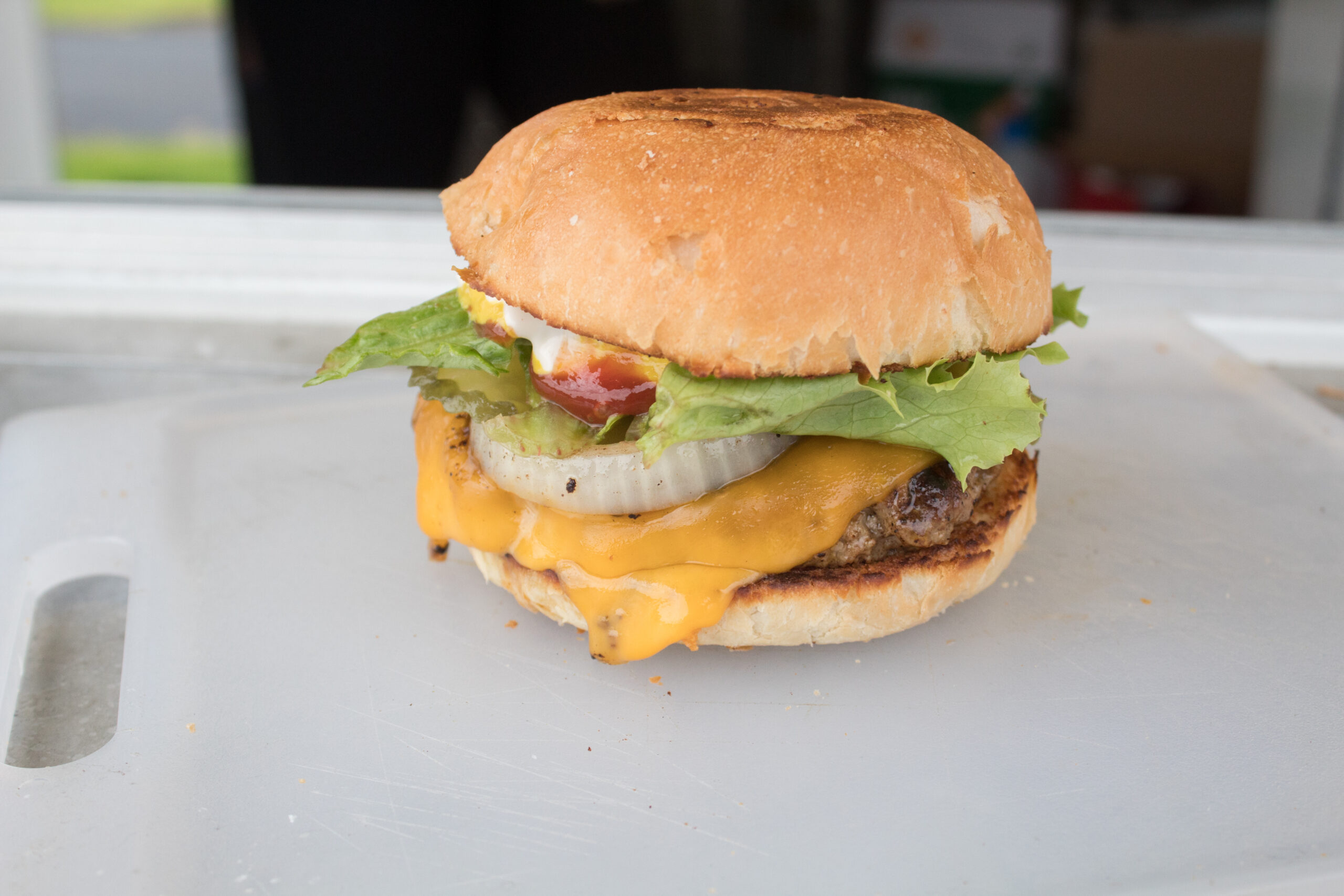 The Gaucho & The Gringa in Sandusky, OH (2)