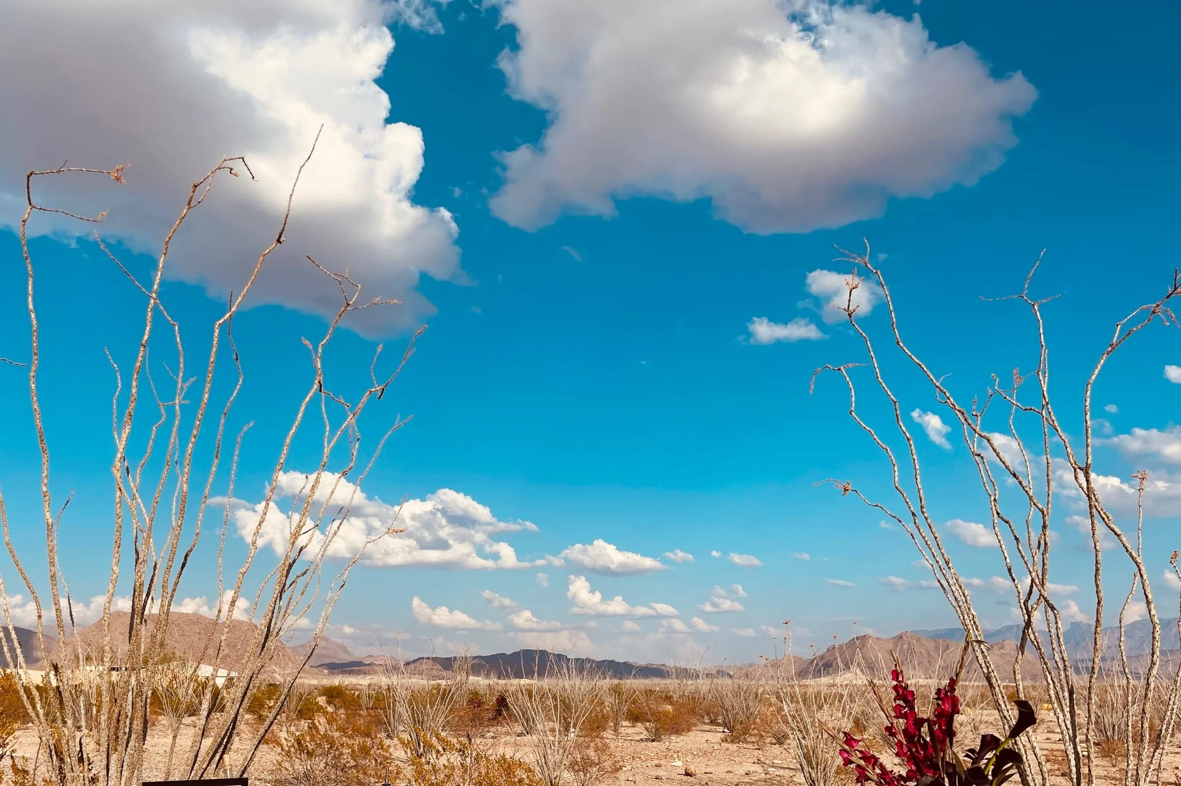 BASH Marfa in Dryden, TX (4)