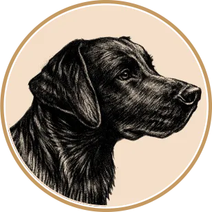 Black Dog Plumbing in Chelsea, AL (3)