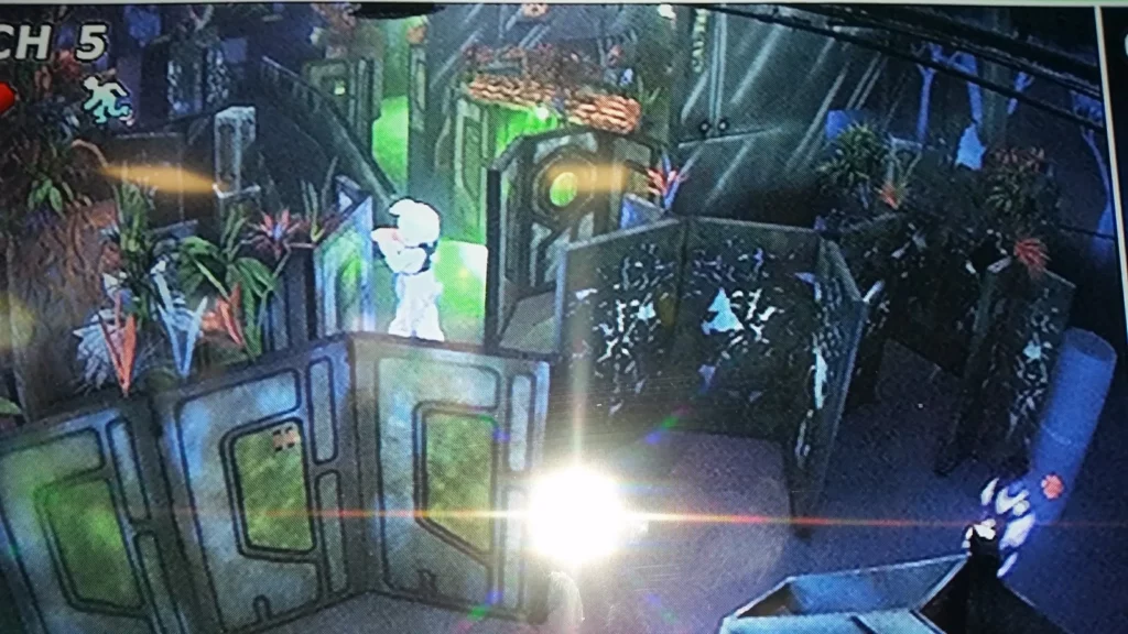 Lazer Legacy in Yucaipa, CA (5)