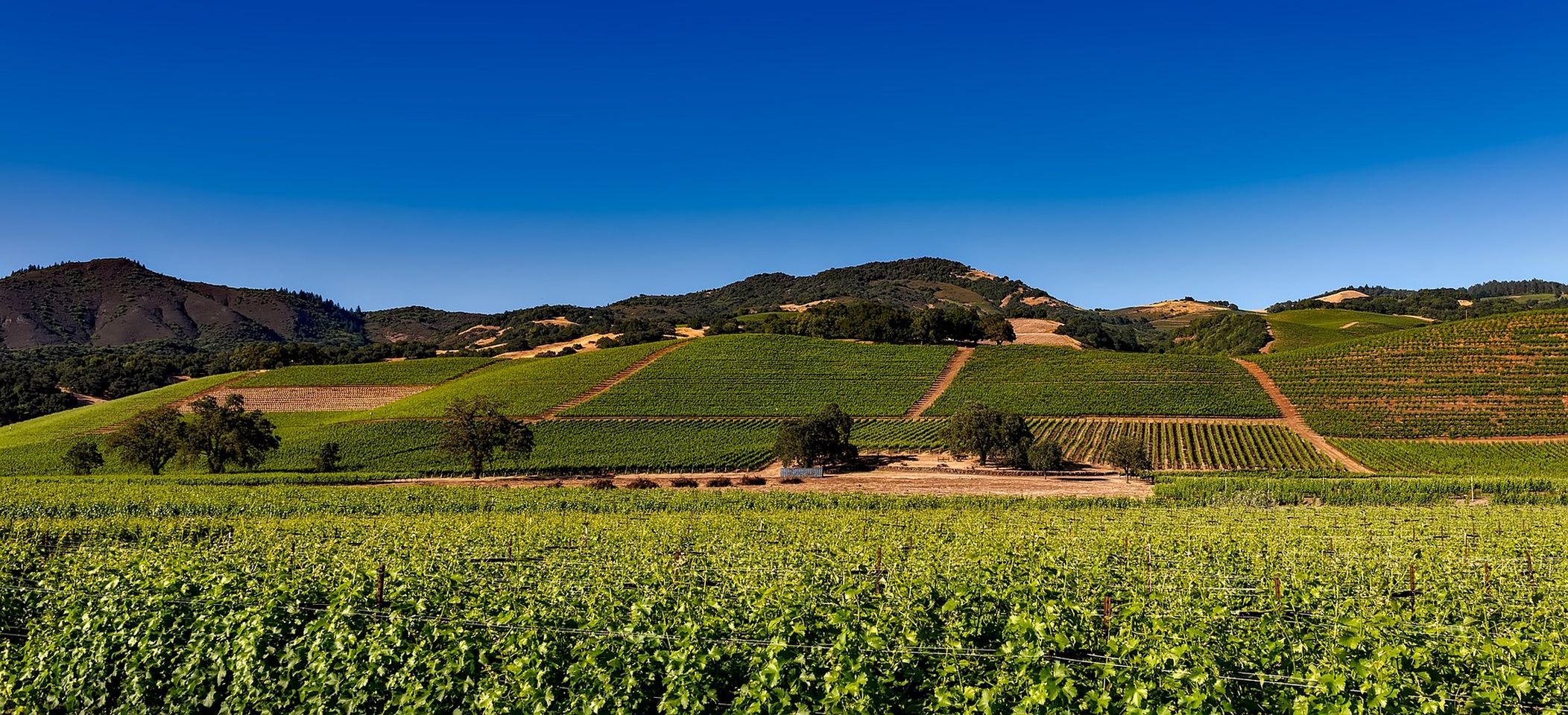 Ryan Dobbs Realty in Bakersfield, CA (5)
