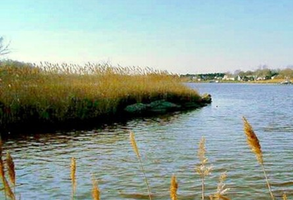 Murphy O'Neill, Realtor, Coldwell Banker Chesapeake in Chestertown, MD (6)