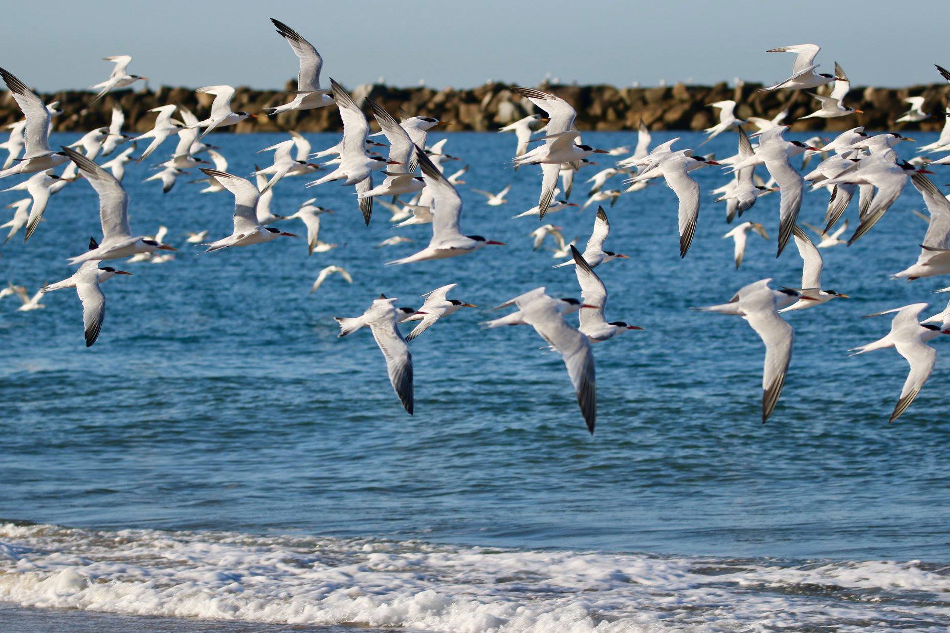 Channel Islands Real Estate in Oxnard, CA (2)