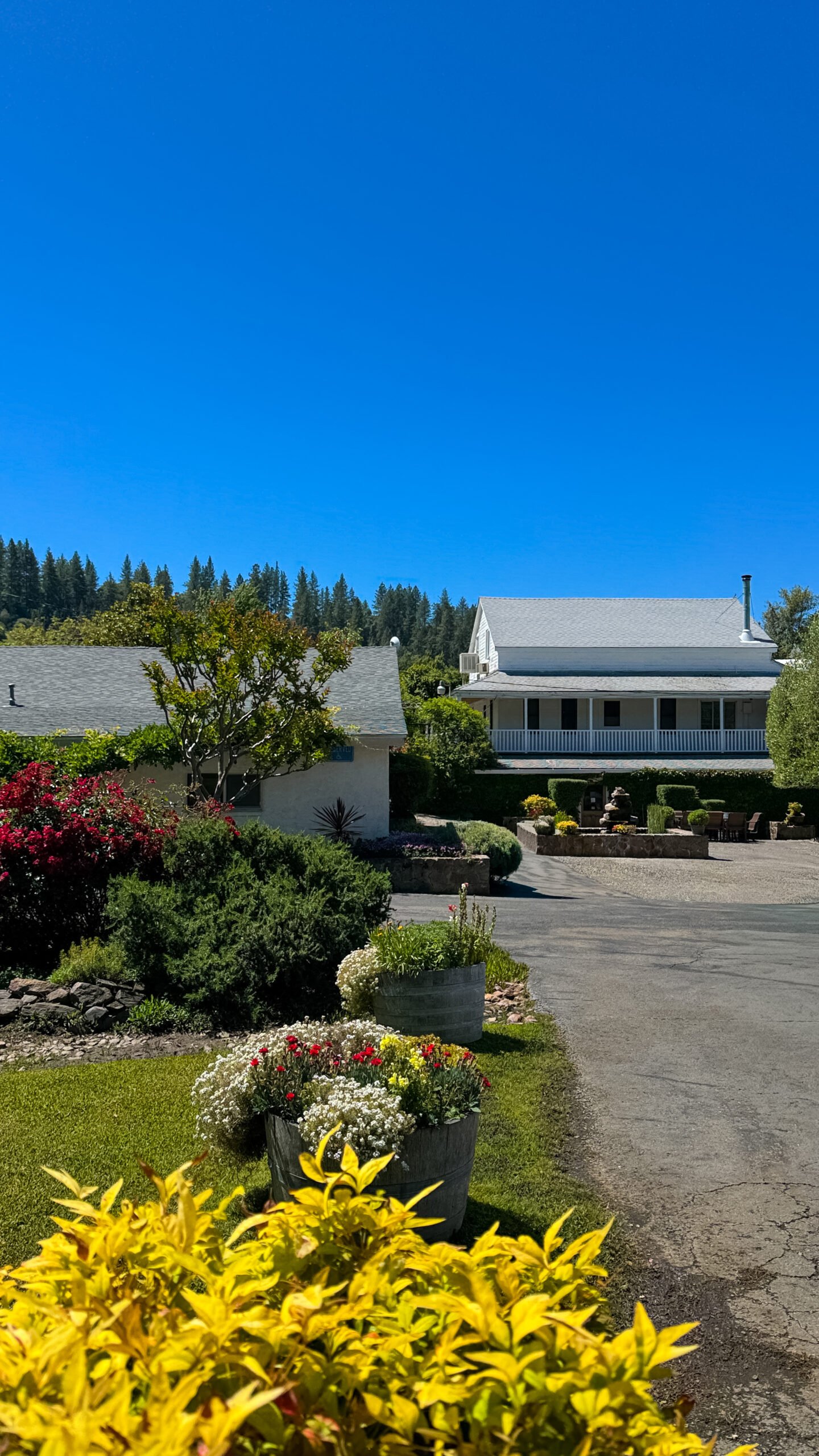 Sobon Estate in Plymouth, CA (4)