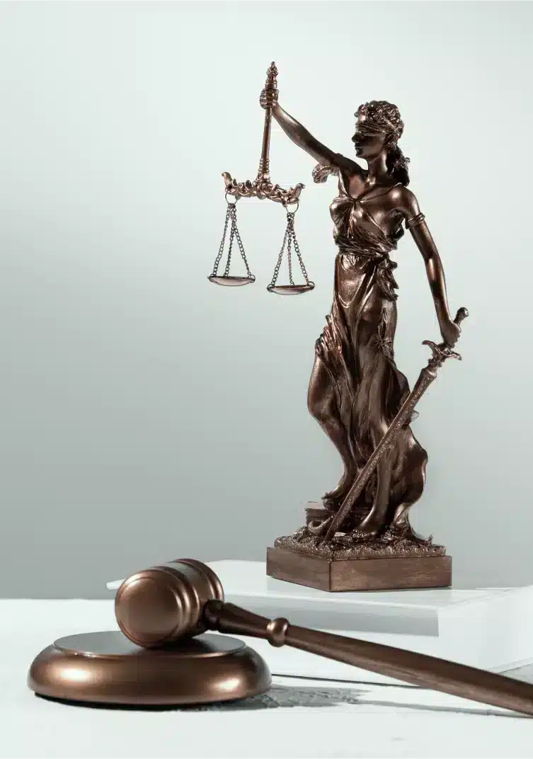 CEO Lawyer Personal Injury Law Firm in Carrollton, TX (5)