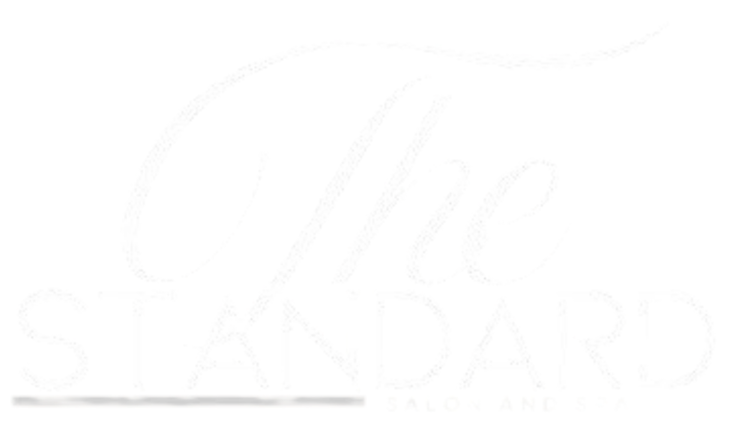 The Standard Salon in Troy, MI (3)