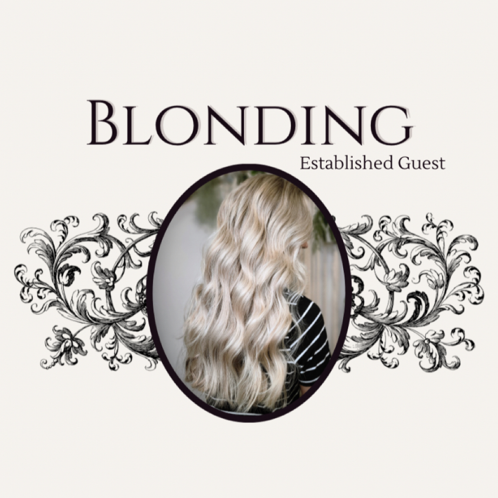 Idyluxe Hair Studio - Bellefonte Hair Salon in Bellefonte, PA (3)