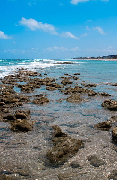 Coastal Real Estate Professionals LLC | Zach Greenberg, Realtor® in Palm City, FL (3)
