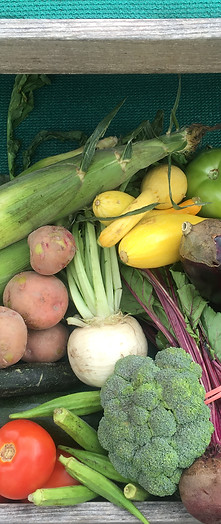 Livingston Creek Farmers Harvest in Bolton, NC (6)