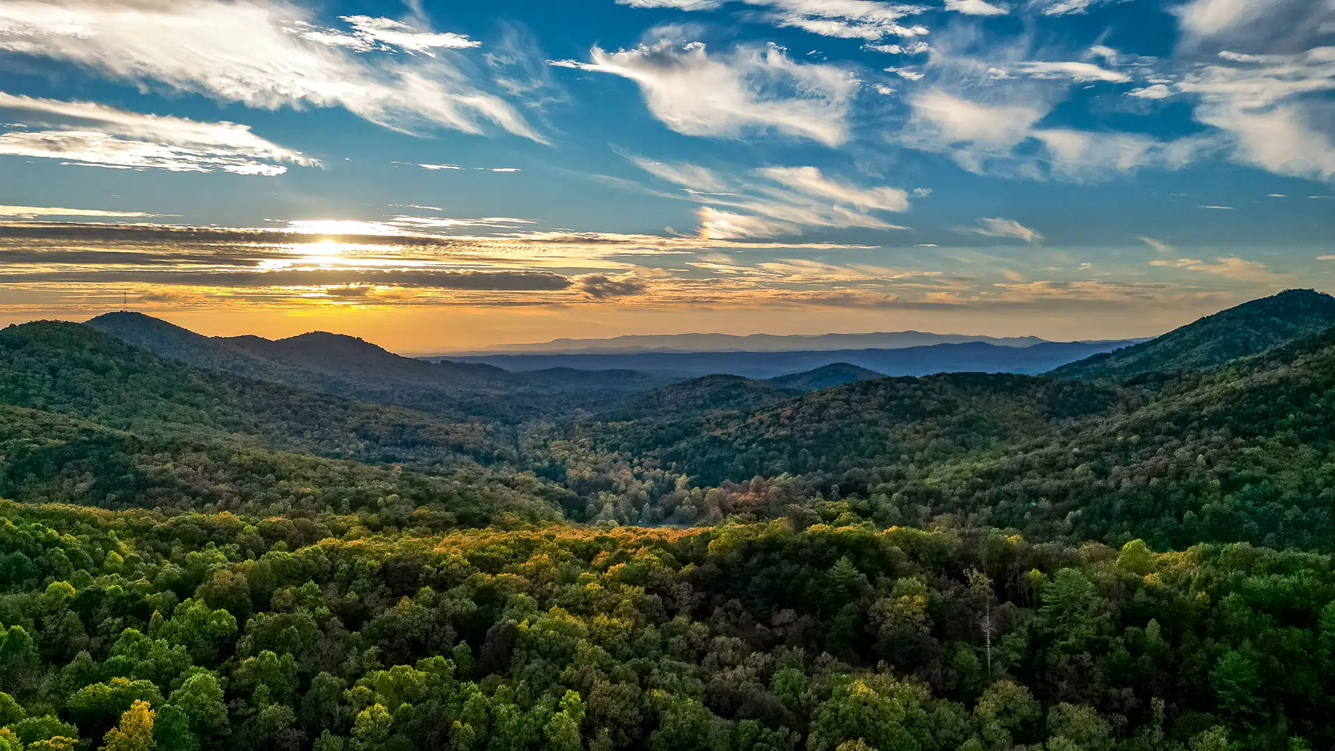 Wilson Pruitt LLC in East Ellijay, GA (3)