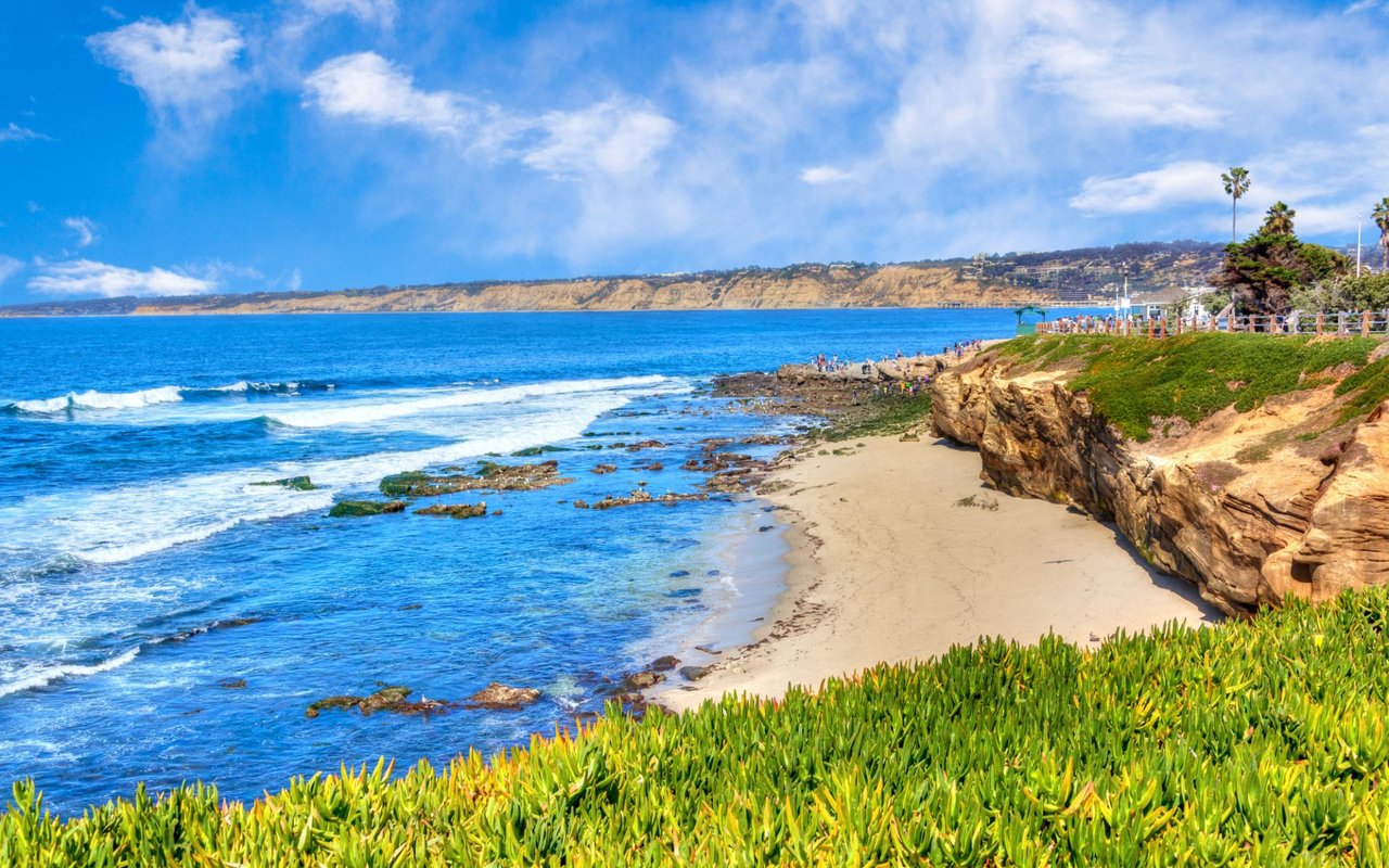 Felicia Lewis Group | Carmel Valley San Diego Real Estate in San Diego, CA (5)