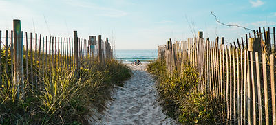Sherie Zebrowski in Port Orange, FL (2)
