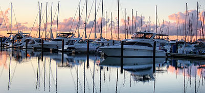 Sherie Zebrowski in Port Orange, FL (3)