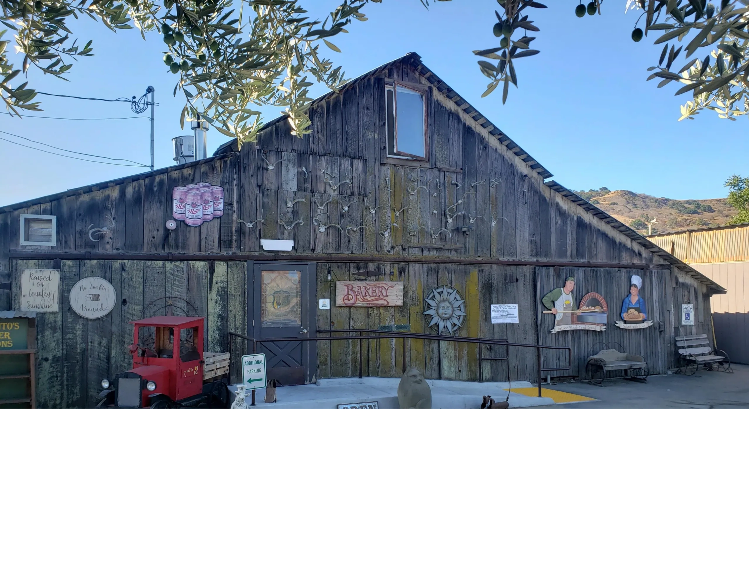 Sun Coast Organic Farm in Hollister, CA