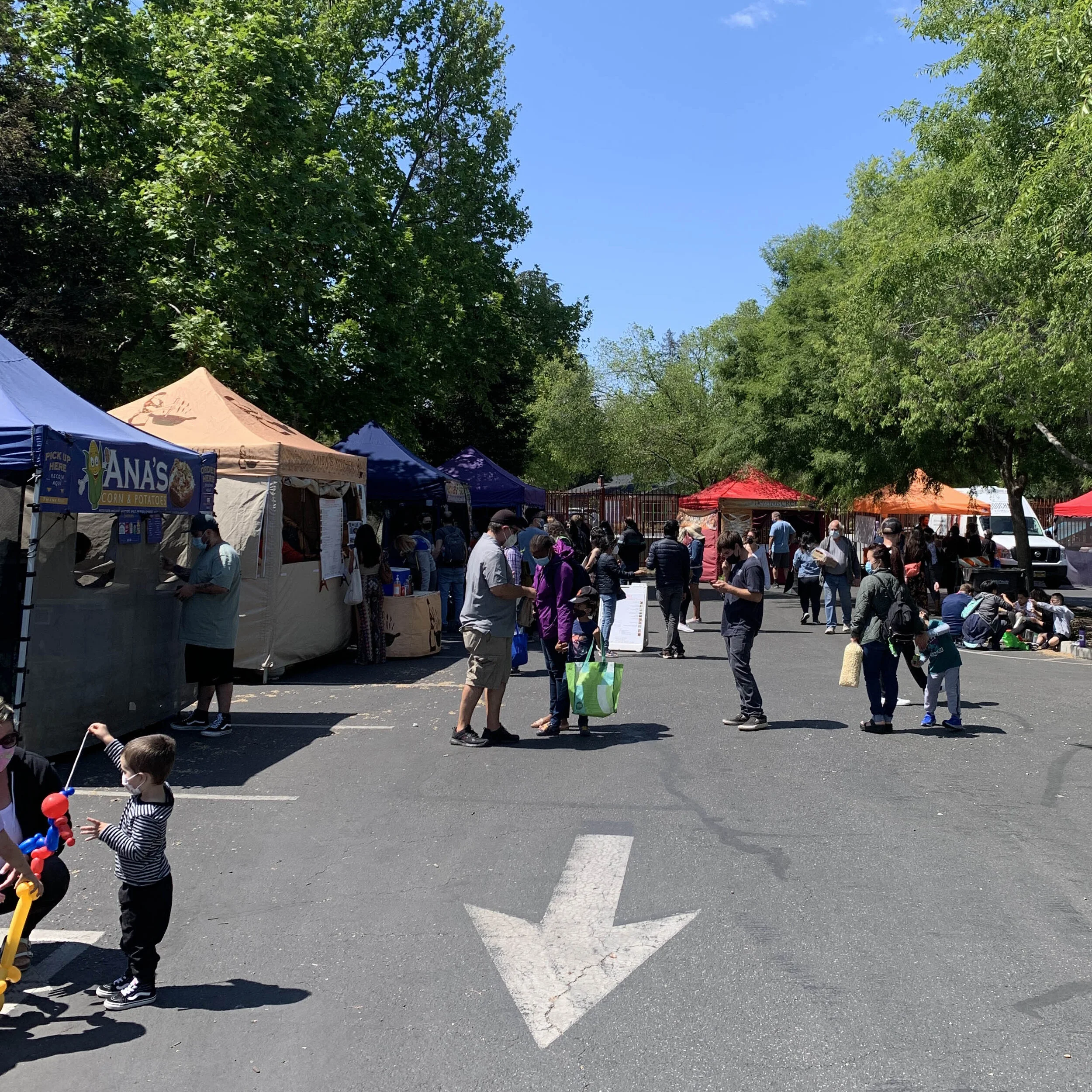 Campbell Farmer's Market in Campbell, CA (4)