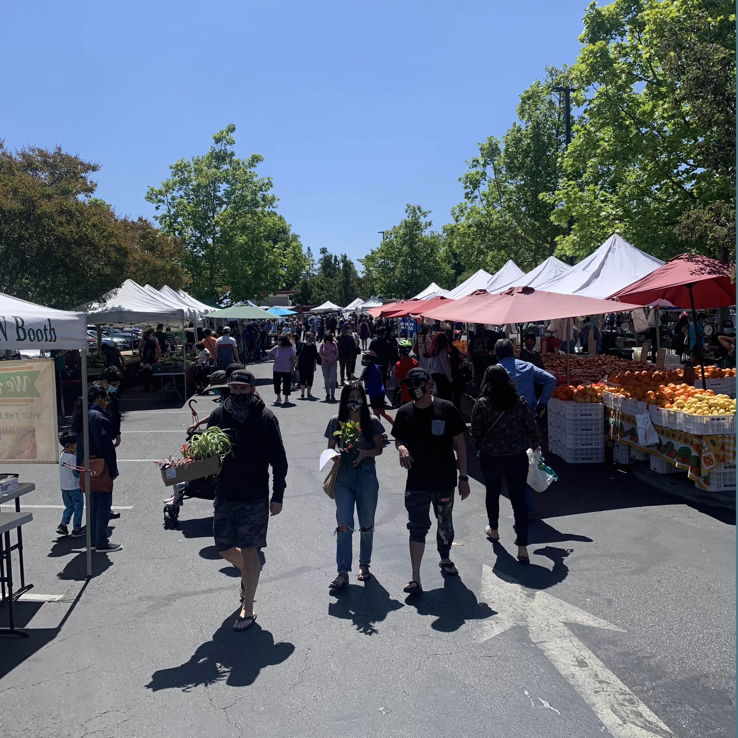 Campbell Farmer's Market in Campbell, CA (5)