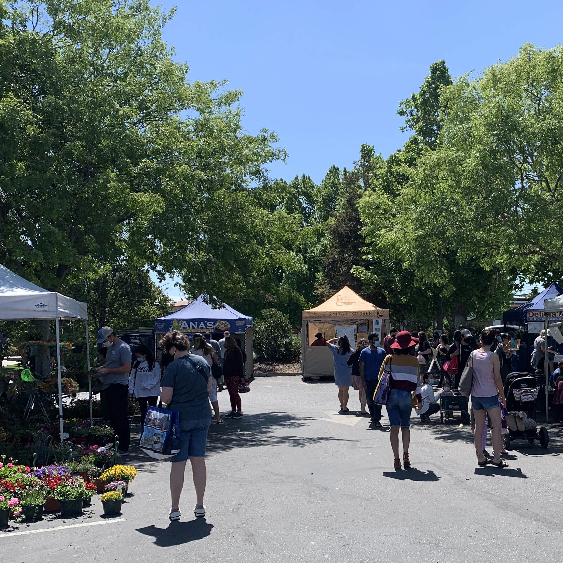 Campbell Farmer's Market in Campbell, CA (6)