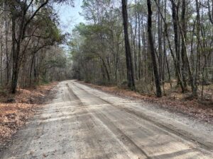 W P Baldwin & Associates in McClellanville, SC (5)