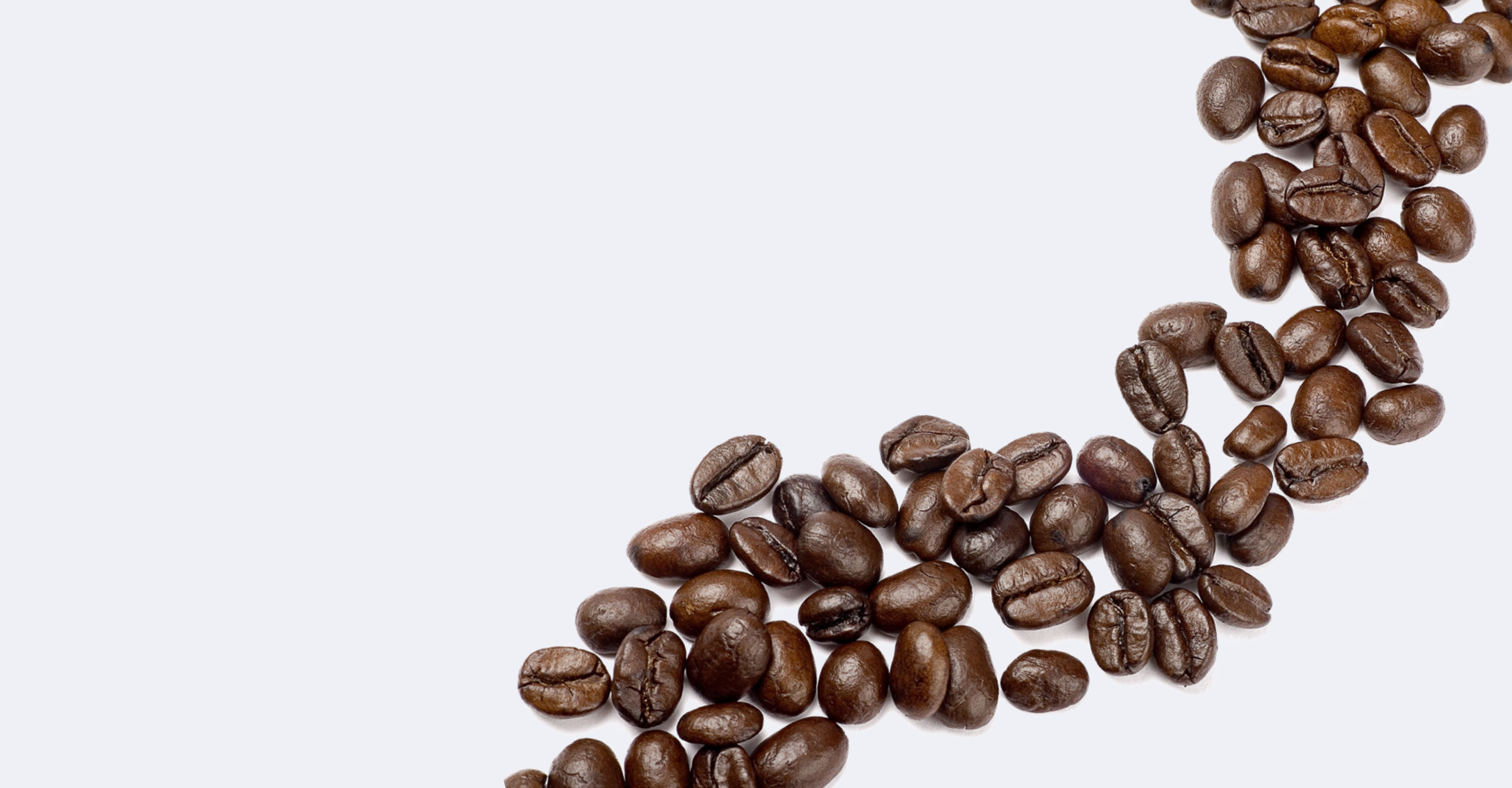 Bason Coffee in Danville, PA