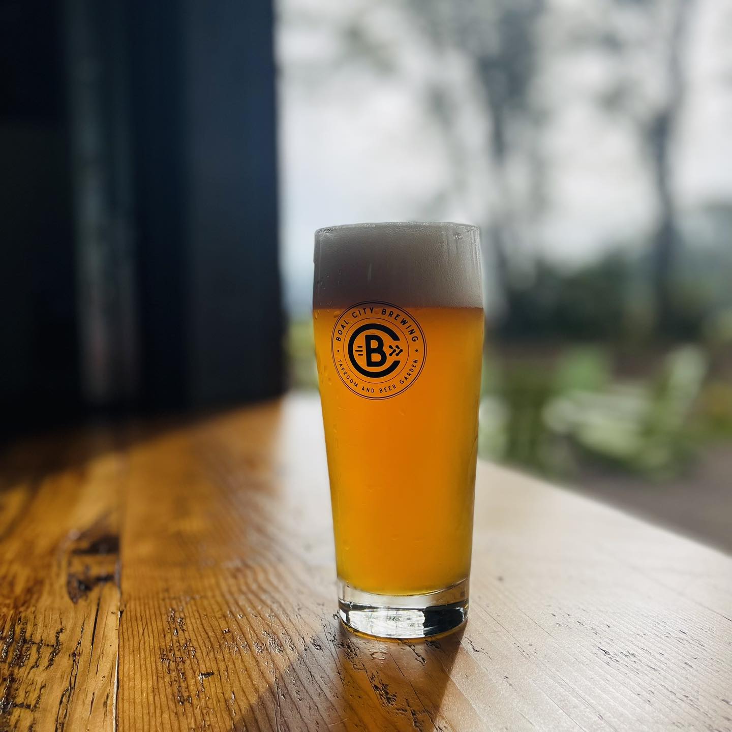 Boal City Brewing in Boalsburg, PA (5)
