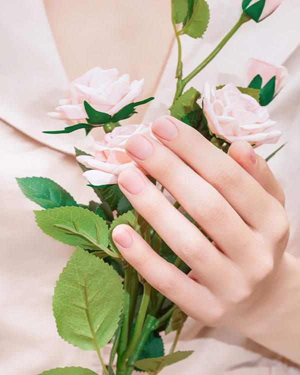 Nail Xcel Day Spa in Pinellas Park, FL (5)