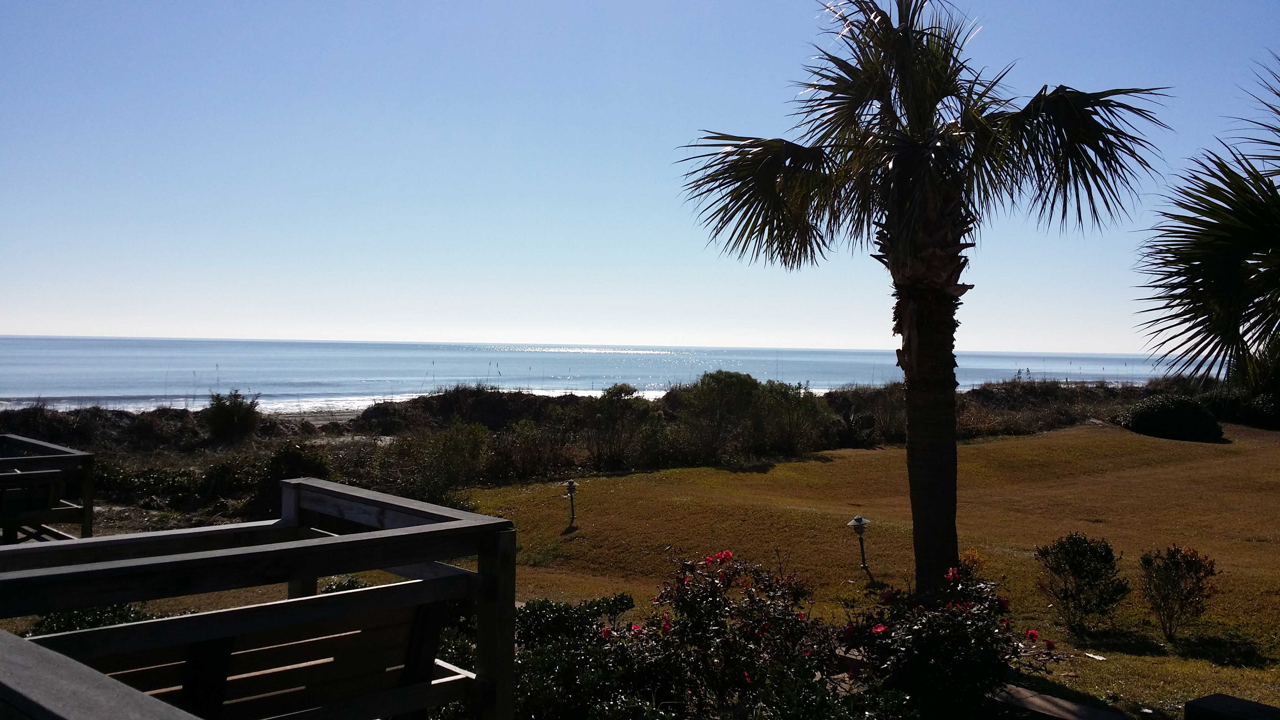 PALM AND PINE CPA, PC in Myrtle Beach, SC (2)