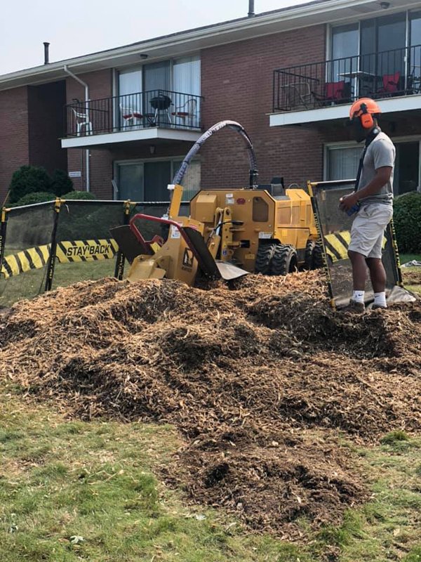 Full Tilt Stump Grinding in Chesterville, OH (2)