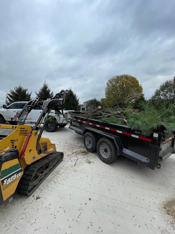 Full Tilt Stump Grinding in Chesterville, OH (5)