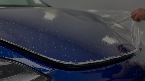 OMG Auto Spa | Professional Detailing | Ceramic Coating | Revivify in Waterford Township, MI (5)