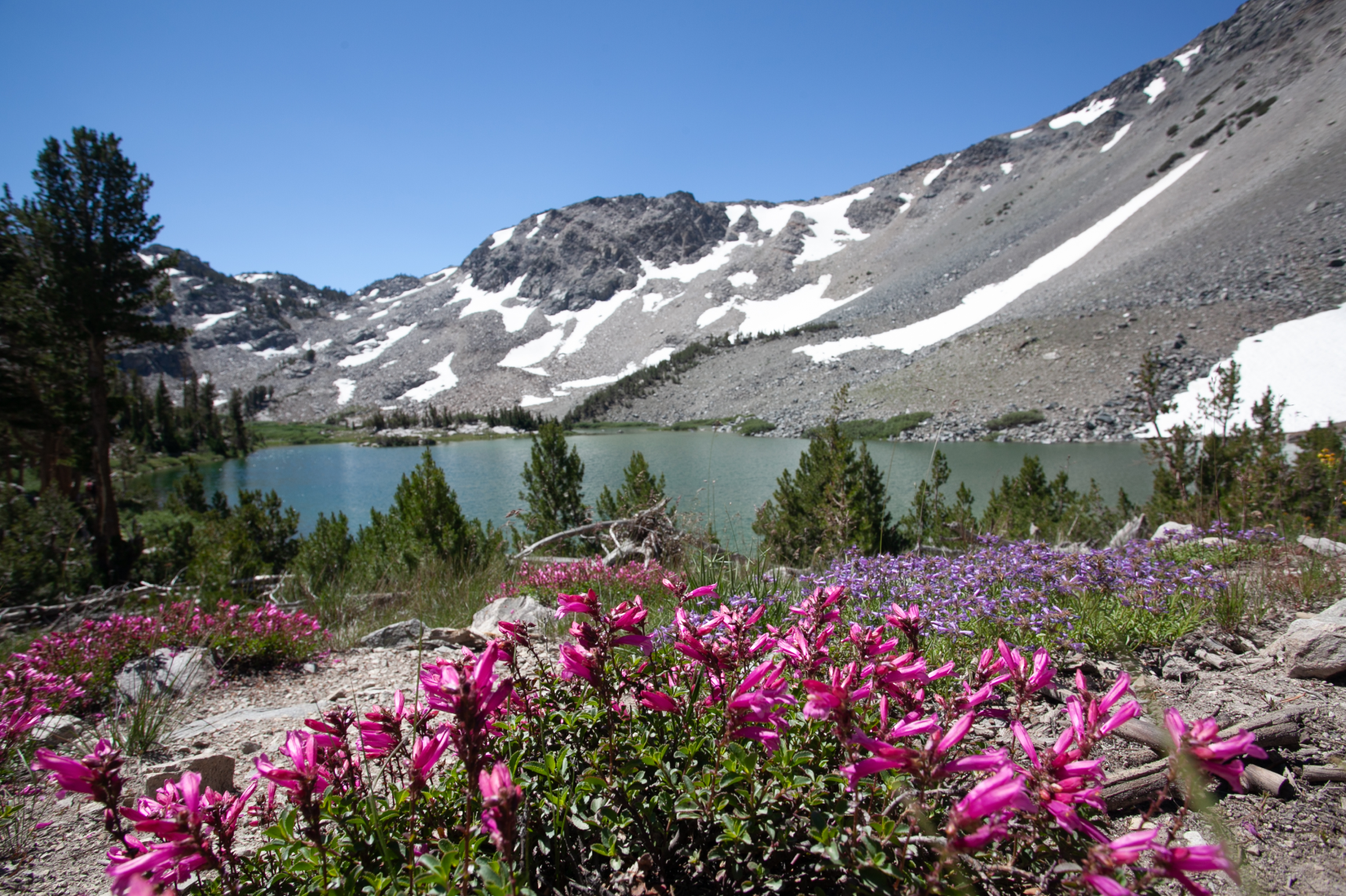 Rebecca Garrett - Realtor in Mammoth Lakes, CA
