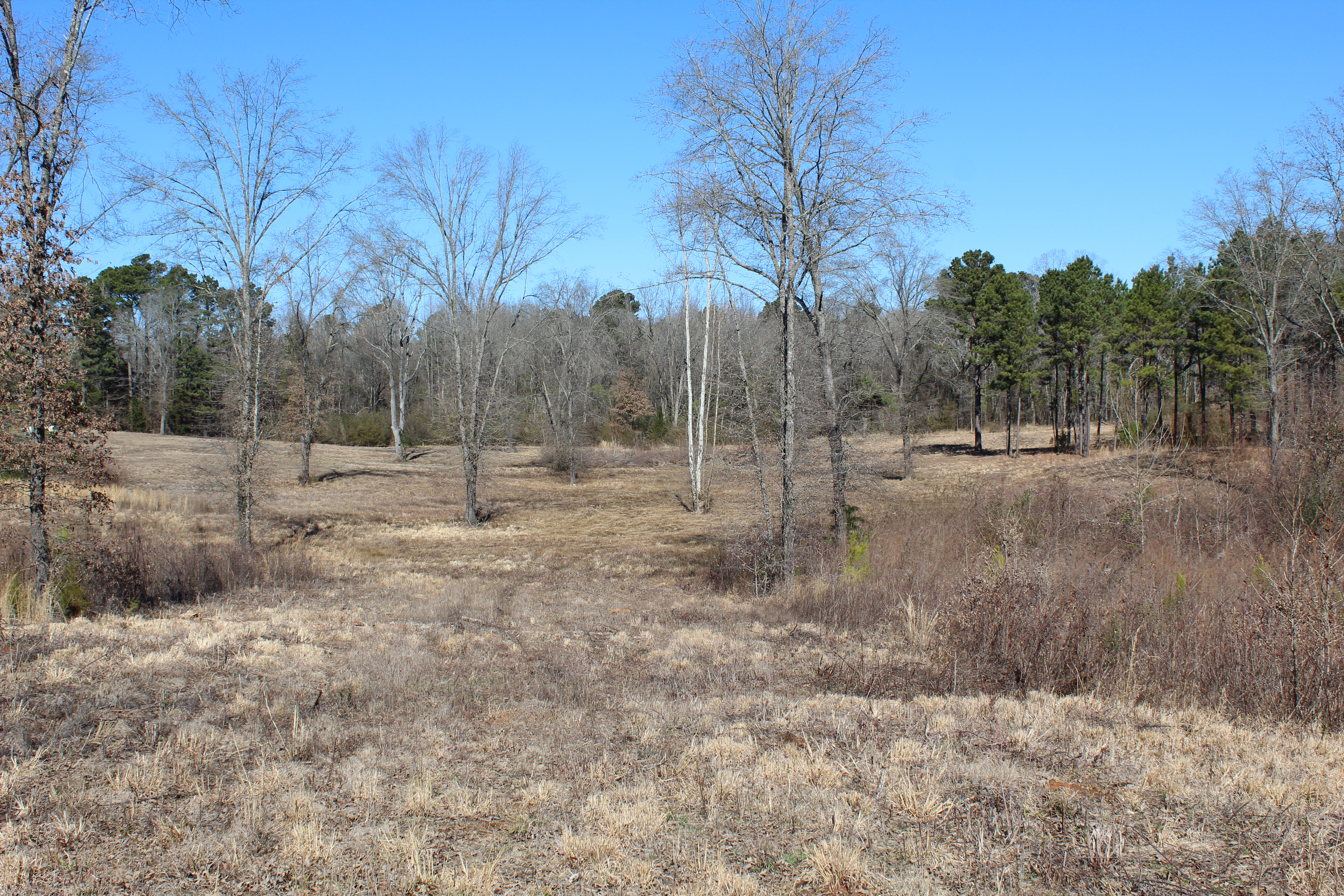 United Country Real Estate Angela Son Realty in De Kalb, TX (2)