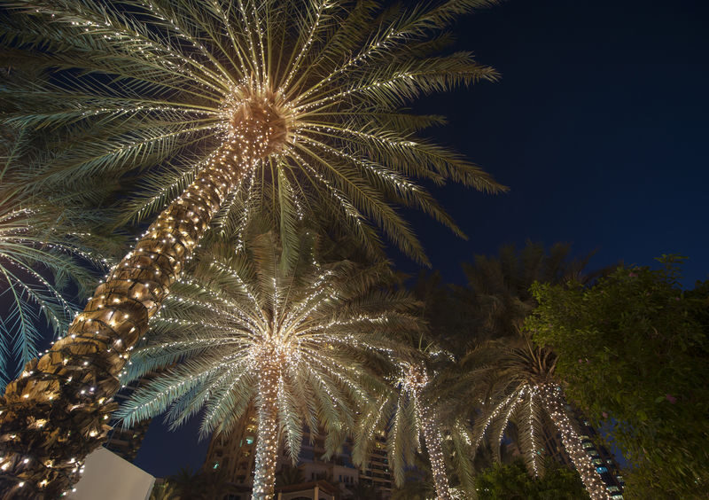 Walter S Sanders & Associates in Tampa, FL (3)