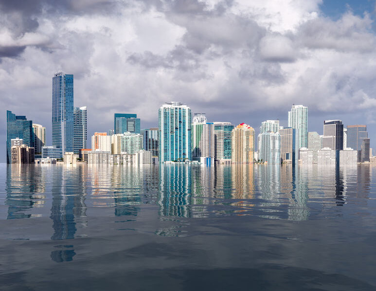 Walter S Sanders & Associates in Tampa, FL (6)