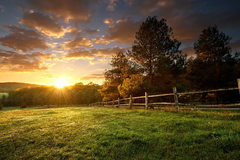 Michael Moos - Trinity Country Real Estate in Weatherford, TX (3)