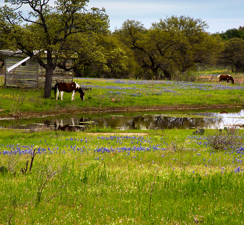 Michael Moos - Trinity Country Real Estate in Weatherford, TX (5)