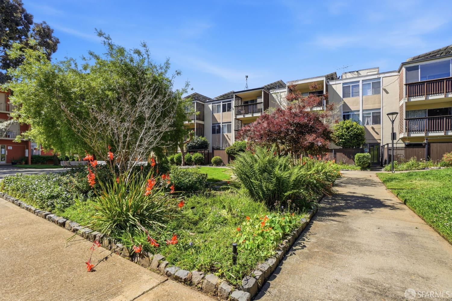 Joe Polyak | RISE Homes in San Mateo, CA