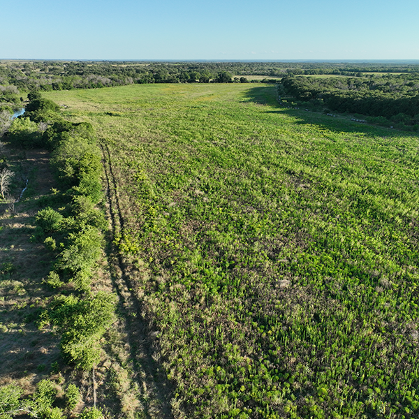 Black Real Estate in Hico, TX (3)